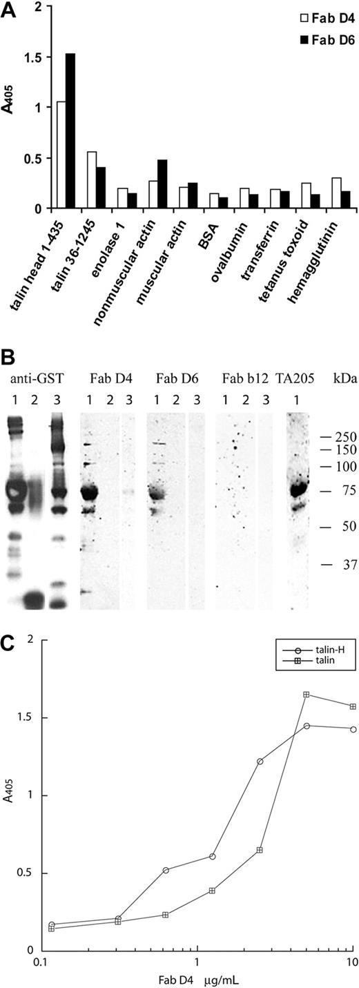 Figure 4. The cloned antiplatelet IgGs bind specific to talin-H. (A) Fab D4 and D6 were tested for binding to murine GST-talin-H (1-435), murine GST-talin (36-1245), and a panel of other antigens by ELISA. (B) Western blot analysis of purified Fab D4 and D6 to GST-talin fusion proteins. GST constructs were visualized with an HRP-conjugated murine anti-GST Ab. Anti-gp120 Fab b12 was used as a negative control Ab, whereas the murine anti-human talin-H mAb TA205 was used as a positive control antibody. Lane 1, GST-talin 1-435; lane 2, GST-irrelevant peptide; lane 3, GST-talin 36-1245. (C) Titration of Fab D4 against purified human talin and recombinant GST-talin-H.