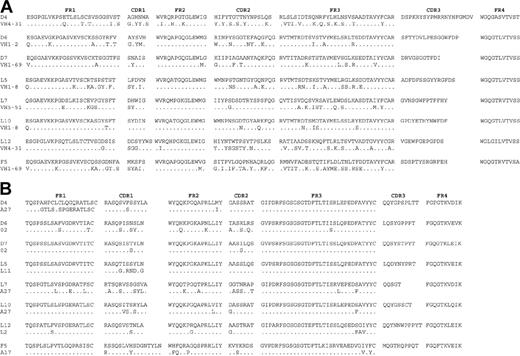 Figure 6. Comparison of the deduced amino acid sequence of VH and VL domains from the platelet-binding Fab's to the closest germ line sequence. (A) VH sequences. (B) VL sequences. Amino acid identity within a group is indicated by dots.