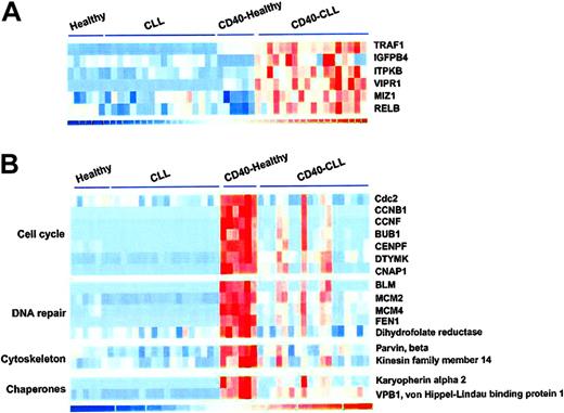Figure 2. Representative genes differentially expressed following CD40 activation in CLL cells compared to healthy B cells based on supervised matched-pair analysis. (A) Genes whose level of expression was significantly increased in CLL cells compared to healthy B cells. (B) Genes whose level of expression was significantly increased in healthy B cells compared to CLL cells.