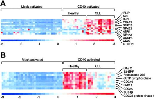 Figure 4. Representative genes from the unsupervised hierarchical clustering analysis that showed differential expression following CD40 activation. (A) Genes whose level of expression was significantly increased in CLL cells compared to healthy B cells. (B) Genes whose level of expression was significantly increased in healthy B cells compared to CLL cells.