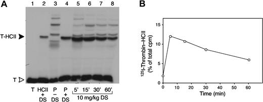 Figure 4. Formation of 125I-thrombin-HCII complexes ex vivo. (A) Plasma was obtained from HCII+/+ mice 5 to 60 minutes after intravenous injection of 10 mg/kg porcine skin dermatan sulfate (DS) (lanes 5-8). The plasma samples were incubated for 2 minutes with 125I-thrombin (T), and formation of 125I-thrombin-HCII complexes (T-HCII) was assayed by SDS-PAGE and autoradiography. A sample containing only 125I-thrombin is shown in lane 1. The thrombin-HCII complex was identified by incubating 125I-thrombin with purified mouse HCII (5 μM) (lane 2) or with mouse plasma (P) (lane 4) in the presence of 50 μg/mL dermatan sulfate. 125I-thrombin was also incubated with mouse plasma in the absence of dermatan sulfate (lane 3). Radioactive bands above T-HCII probably represent complexes of thrombin with α2-macroglobulin; bands below T-HCII probably represent thrombin-antithrombin or partially degraded complexes. (B) 125I-thrombin-HCII bands from the gel in panel A were cut out, and the radioactivity was measured in a gamma counter.