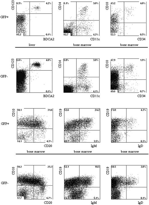 Figure 7. Multilineage presence of GFP+-expressing cells in the BM and liver of mice that underwent transplantation of lentivirus-transduced human hematopoietic progenitors. Newborn RAG2-/- γc-/- mice were intraperitoneally injected with human CD34+ hematopoietic stem cells isolated from fetal liver and transduced with the pTRIPΔU3-EF1α p53RNAi lentivirus. Mononuclear cell suspensions from the livers and BM of these mice were stained with various human-specific monoclonal antibodies and analyzed by flow cytometry. Cells positive for human CD45 were gated and further analyzed comparing the GFP+ and GFP- populations Examples of plasmacytoid DCs, myeloid cells, and B cells are shown. Liver and BM cells are stained with antibodies directed to CD123, BDCA2, CD11c, CD14, CD10, CD34, CD19, CD20, IgM, and IgD.
