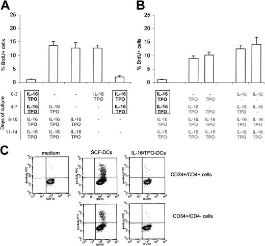 Figure 4. Effects of IL-16/TPO combination on the generation of tolerogenic DCs. The allostimulatory activity of DCs was tested in primary cultures, using monocyte-depleted PBMCs. (A-B) Effects of the presence of IL-16 and TPO at different times of culture. The concomitant presence of IL-16 and TPO during the first 7 days of culture was required to induce the differentiation of tolerogenic DCs. The mean ± SEM from 3 independent experiments is shown. (C) Effects of IL-16/TPO combination on sorted cell subpopulations. The presence of IL-16 plus TPO induced the generation of tolerogenic DCs, which were unable to stimulate the proliferation of allogeneic T lymphocytes, from both CD34+/CD4+ (top row) and CD34+/CD4- (bottom row) cells. Proliferating lymphocytes identified as CD4+/BrdU+ double-positive cells. One representative of 4 independent experiments is shown.