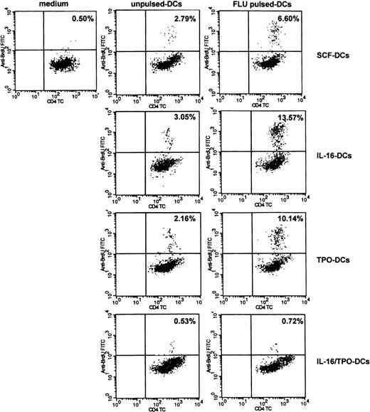 Figure 5. Induction of proliferation of autologous lymphocytes on presentation of a soluble antigen, FLU. The lack of T-stimulatory activity of IL-16/TPO-DCs was confirmed when the proliferation of autologous T lymphocytes on presentation of FLU was tested. The capacity of DCs obtained in the different cytokine combinations to induce T-cell proliferation was compared. Proliferating lymphocytes were identified in density plots as CD4+/BrdU+ double-positive cells. Control cultures included monocyte-depleted PBMCs alone (left column), cocultured with unpulsed DCs (middle column), or antigen-specific proliferation assessed in cultures with FLU-pulsed DCs (right column). The numbers represent the percentage of cells in each quadrant. One representative of 3 independent experiments is shown.