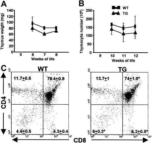 Figure 2. Phenotype of thymus from WT and TG mice. (A) Thymus weights of 6-, 7-, or 8-week-old WT (▪) or TG(▴) female mice are reported as the mean values ± 1 SEM. (B) Thymocyte number in 10-, 11-, or 12-week-old female mice are reported as the mean values ± 1 SEM. (C) CD4 and CD8 2-color flow cytometry analysis. Representative dot plot panels of thymocyte subsets from 8-week-old WT or TG mice are shown. Numbers represent the mean ± 1 SEM from 10 independent experiments.