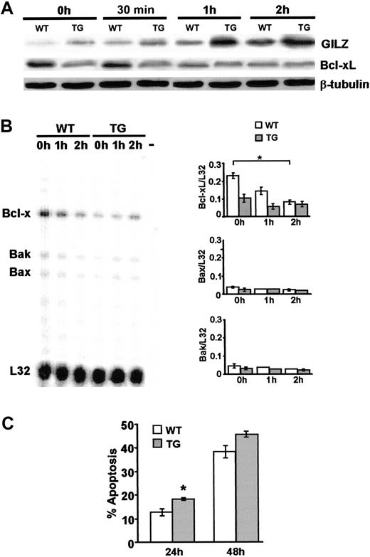 Figure 5. Time-course experiments of cultured thymocytes. (A) Western blot analysis of GILZ (top), Bcl-xL (middle), and β-tubulin (bottom) proteins expressed in WT or TG thymocytes freshly isolated (0 h) or after 30 minutes, 1 hour, or 2 hours of culture. Data are representative of 3 independent experiments. (B) RPA analysis shows mRNA levels of Bcl-xL, Bak, and Bax of a representative experiment (left), and bars represent quantitative analysis of Bcl-xL (Bcl-xL/L32 mRNA ratio), Bax (Bax/L32 mRNA ratio), or Bak (Bak/L32 mRNA ratio) mRNA levels in WT (□) and TG (▦) uncultured thymocytes (0 h) or from thymocytes cultured for 1 or 2 hours from 3 independent experiments. (C) Apoptosis of WT (□) or TG(▦) thymocytes cultured for 24 or 48 hours. Bars represent the mean values ± 1 SEM from 10 independent experiments. *P < .05.