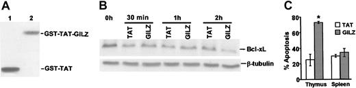 Figure 6. Effect of GST-TAT-GILZ fusion protein on WT thymocytes. (A) Western blot analysis of thymocyte protein untreated or treated for 30 minutes, 1 hour, or 2 hours with either GST-TAT (1) or with GST-TAT-GILZ (2), revealed with the anti-GST mAb. (B)Western blot of Bcl-xL expression on WT thymocytes untreated or treated for different times (30 minutes, 1 hour, or 2 hours) with either GST-TAT-GILZ (GILZ) or GST-TAT (TAT). (C) Bars indicate apoptosis of WT thymocytes (left) or splenocytes (right) after 24 hours of treatment with either GST-TAT (TAT; □) or GILZ-GST-TAT (GILZ; ▦). Bars represent the mean values ± 1 SEM from 3 independent experiments. *P < .05.