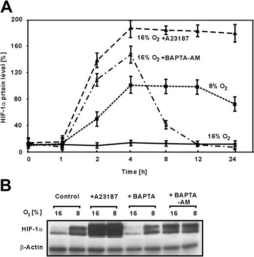 Figure 3. Time-dependent modulation of HIF-1α protein expression by A23187 and BAPTA-am. (A) HepG2 cells were incubated under normoxia (16% O2) or hypoxia (8% O2) or treated with A23187 (5 μM) or BAPTA-am (5 μM) under normoxia (16% O2) and then harvested at different time points. HIF-1α protein was detected by Western blot analysis. The expression of HIF-1α under hypoxia at 4 hours was set to 100%. Values are means ± SEM of 3 independent culture experiments. (B) Western blot analysis. Protein (100 μg) from HepG2 cells treated with A23187 (5 μM), BAPTA-am (5 μM), or BAPTA (5 μM) for 4 hours was subjected to Western analysis with an antibody against HIF-1α or β-actin. Autoradiographic signals were obtained by chemiluminescence and scanned by videodensitometry.