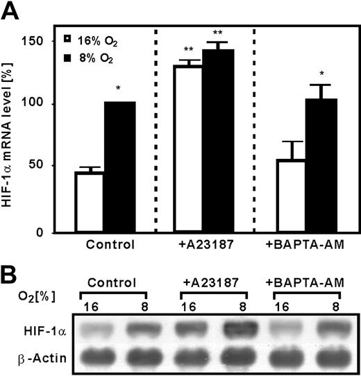 Figure 5. Modulation of HIF-1α mRNA expression by A23187 and BAPTA-am. HepG2 cells were stimulated with A23187 (5 μM) or BAPTA-am (5 μM) under normoxia (16% O2) or hypoxia (8% O2) for 4 hours. HIF-1α mRNA was detected by Northern blot analysis. (A) The expression of HIF-1α mRNA under hypoxia was set to 100%. Values are means ± SEM of 3 independent culture experiments. Statistics, Student t test for paired values: *P ≤ .05, 16% O2 versus 8% O2;**P ≤ .05, +A23187 versus control at the same pO2. (B) Representative Northern blot analysis. Total RNA (20 μg) of each sample was subjected to Northern blot analysis with HIF-1α or β-actin antisense RNA probes. Autoradiographic signals were obtained by chemiluminescence and scanned by videodensitometry.
