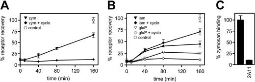 Figure 7. The intracellular trafficking of Dectin-1 depends on the nature of the β-glucan ligand. After overnight incubation, thioglycollate-elicited macrophages were pretreated with or without cycloheximide (cyclo) and then incubated with an excess of unlabeled (A) zymosan (zym) or (B) laminarin (lam) or glucan phosphate (gluP) for 60 minutes at 4°C. Cells were then incubated at 37°C for the times indicated, before the extent of Dectin-1 recovery at the cell surface was measured using cold FITC-labeled zymosan. The results are expressed as the percentage recovery of Dectin-1 versus control cells, at 160 minutes, that were not exposed to carbohydrate. Values are expressed as the mean ± SEM from triplicate samples and are representative of at least 3 independent experiments. Similar receptor kinetics were also observed by FACS analysis using 2A11 (data not shown). (C) To confirm that the recovered zymosan-binding capacity was due to Dectin-1, control cells from the final time point were treated with monoclonal antibody 2A11 to block the Dectin-1 lectin-binding site for 60 minutes prior to adding the FITC zymosan particles. The contribution of Dectin-1 was also confirmed in cells pretreated with zymosan, laminarin, and glucan phosphate (data not shown).