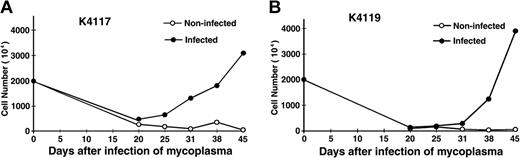 Figure 2. M fermentans infection induces continued growth of human peripheral blood mononuclear cells. PBMCs isolated from 2 healthy blood donors (K4117 and K4119) cultured in alpha-MEM containing 20% fetal bovine serum, 1 μg/mL of cyclosporine A, 10-6 M of dexamethasone, and 10-5 M of β-mercaptoethanol were infected with 106 CCU/mL of M fermentans (Mi strain). Noninfected control culture was inoculated with equal volume of SP4 medium. All cultures were kept in a 37°C, 5% CO2 incubator and fed twice a week by replacing the top half of the culture with the same medium without cyclosporine A, dexamethasone, and β-mercaptoethanol. Viable cells were examined by trypan blue staining and counted in a hemacytometer.