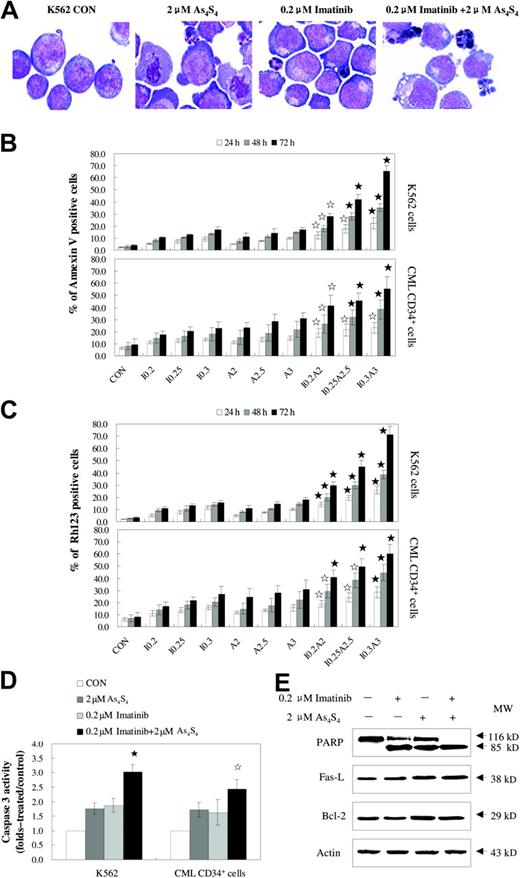 Figure 4. As4S4 and/or imatinib induce the apoptosis of the K562 cell line and primary CML cells. (A) The morphology of K562 cells untreated or treated with 2 μM As4S4 and/or 0.2 μM imatinib for 48 hours. The K562 cells were stained with Wright staining and observed on an Olympus BX 50 light microscope (Olympus, Tokyo, Japan) provided with MCDS-20/0 Super Bone Marrow Cell Analysis System (Chongqing, China). Original magnification, ×1000 (objective × 100). Images were captured using a Polaroid Dmc (Polaroid, Miami, FL). (B) Annexin V–PI assessment of the K562 cells and CD34+ cells from patients with CML. Cells were treated with As4S4 and/or imatinib for 24 to 72 hours and measured for annexin V positivity (n = 3, mean ± SD). (C) The reduction of mitochondrial transmembrane potential in K562 cells and CML CD34+ cells after treatment with As4S4 and/or imatinib for 24 to 72 hours (n = 3, mean ± SD). (D) Caspase-3 activity of K562 cells and CML CD34+ cells after 48 hours of incubation with As4S4 and/or imatinib (n = 4, mean ± SD). (E) Western blot analysis of some proteins related to apoptosis after K562 cells, after 48 hours of exposure to As4S4 and/or imatinib. Statistical analysis using a one-side paired t test (☆, P < .05 versus imatinib, As4S4 group, and control; ⋆, P < .01 versus imatinib group, As4S4 group, and control). CON indicates control; I 0.2, 0.2 μM imatinib; I 0.25, 0.25 μM imatinib; I 0.3, 0.3 μM imatinib; A2, 2 μM As4S4; A2.5, 2.5 μM As4S4; A3, 3 μM As4S4; I 0.2A2, 0.2 μM imatinib and 2 μM As4S4; I 0.25A2.5, 0.25 μM imatinib and 2.5 μM As4S4; and I 0.3A3, 0.3 μM imatinib and 3 μM As4S4.