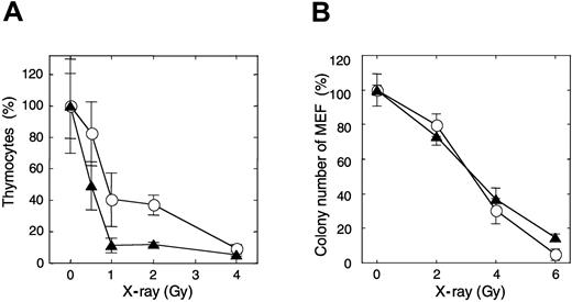 Figure 3. Increased sensitivity of thymocytes of APEX2-null mice to x-ray irradiation. (A) Mice were exposed to various x-ray doses. Thymus glands were collected 21 hours later, and viable thymocytes were counted. Ratios (percentages) of the numbers of thymocytes relative to those of an unirradiated control are shown with their mean values and SD. At least 3 mice were exposed to each x-ray dose. The difference between wild-type and APEX2-null mice was statistically significant (P = .0006, 2-way ANOVA). ○ indicates wild type; ▴, APEX2-null. (B) X-ray sensitivity of APEX2-null MEF lines. APEX2-null MEF lines with pIRES1hyg:mAPEX2 (○) or pIRES1hyg (▴) were plated in triplicate at a cell density of 500/10-cm dish and exposed to x-ray irradiation. After culture for 14 days, colonies were stained with crystal violet and counted. Ratios (percentages) of the numbers of colonies relative to those of an unirradiated control are shown with their mean values and SD.
