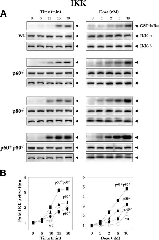 Figure 2. Deletion of TNF receptors enhances the RANKL-induced activation of IκBα kinase. (A) Time- and dose-dependent IKK activation by RANKL in wild-type and TNF receptor-deleted macrophages. 1.0 × 106 cells were pretreated with 50 μg/mL ALLN and then treated with 5 nM RANKL for the indicated times or with the indicated concentrations of RANKL for 15 minutes. Whole-cell extracts were prepared, incubated with anti-IKK-α antibody, and immunoprecipitated with protein A/G-Sepharose beads. The beads were washed and subjected to kinase assay as described in “Materials and methods.” Fifty micrograms of the same protein extracts was resolved by 7.5% SDS-PAGE and electrotransferred to a nitrocellulose membrane. Western blot analysis was performed using anti-IKK-α and IKK-β antibodies. (B) Graphical representation of the results shown in panel A.