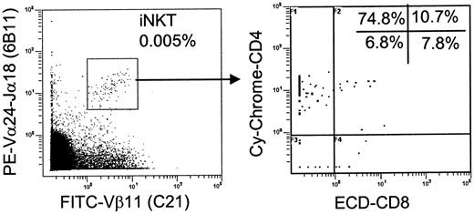 Figure 1. High CD4+/CD4- iNKT cell ratio in human thymus. iNKT cells were identified in freshly isolated thymocytes as 6B11/Vβ11-double–positive events after collecting 2 to 3 × 106 events (left), and CD4/CD8 distribution was analyzed within iNKT subset (right). Representative diagrams from 10 independent experiments are shown.