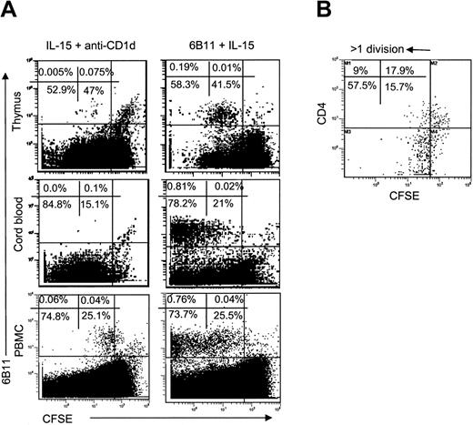 Figure 5. Proliferative response of iNKT cells to IL-15. (A) CD8-depleted thymocytes, CB cells, or PBMCs were stained with CFSE and cultured for 7 days in the presence of IL-15 and anti-CD1d blocking mAb (left) or 6B11-coated plates plus IL-15 (right). iNKT cells were identified with PE-6B11 and plotted against CFSE-fluorescence. (B) Distribution of CFSE-fluorescence in CD4+ versus CD4- subsets of iNKT cells from adult PBMCs cultured with IL-15 + anti-CD1d mAb. Representative diagrams from 8 independent experiments are shown.
