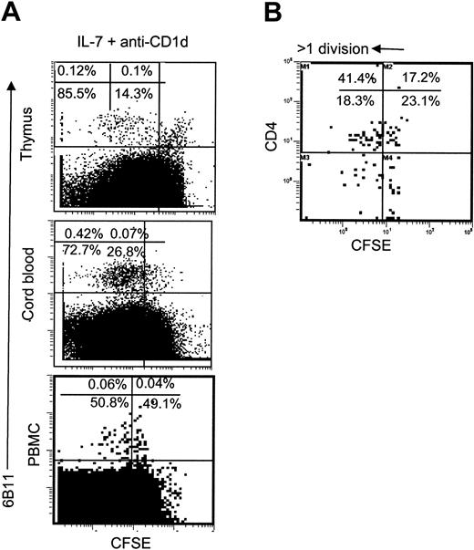 Figure 6. Proliferative response of iNKT cells to IL-7. (A) CD8-depleted thymocytes, CB cells, or PBMCs were stained with CFSE and cultured for 7 days in the presence of IL-7 and anti-CD1d blocking mAb. iNKT cells were identified with PE-6B11 and plotted against CFSE fluorescence. (B) Distribution of CFSE-fluorescence in CD4+ versus CD4- subsets of iNKT cells from adult PBMCs cultured with IL-7 + anti-CD1d mAb. Representative diagrams from 5 independent experiments are shown.