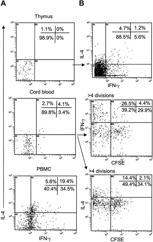 Figure 7. Functional maturation of iNKT cells. (A) CD8-depleted thymocytes (n = 5), CB cells (n = 6), or PBMCs (n = 6) were stimulated with agonistic anti-CD3 mAb-coated plates followed by staining of iNKT cells with 6B11 and detection of intracellular IL-4 and IFN-γ by flow cytometry. Diagrams show expression of IL-4 and IFN-γ after gating on 6B11-positive events. (B) Staining for intracellular cytokines is repeated in iNKT cells from thymus (top) and CB (middle, bottom) after in vitro expansion with 6B11 and IL-2. Expression of cytokines in expanded CB iNKT cells is plotted against CFSE fluorescence. Representative results from 5 independent experiments are shown.