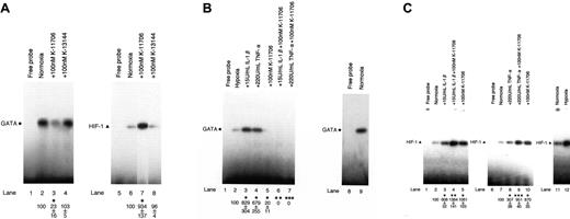 Figure 1. Effects of K-11706 and K-13144 on GATA and HIF-1 binding activities. (A) Electrophoretic mobility shift assay (EMSA) was performed using 1.0 μg protein from Hep3B cells under normoxic conditions (lanes 2-4 and 6-8), and incubated with 100 nM K-11706 (lanes 3 and 7) and 100 nM K-13144 (lanes 4 and 8). The closed circle and triangle at the left indicate the positions of the GATA and HIF-1 transcription factors. The autoradiograph is representative of 3 different experiments, using different nuclear extracts, with similar results. Densitometric analyses of the bands expressed relative to the control are indicated by circles or triangles. * indicates significance compared with normoxic control, P < .005. (B) Effect of K-11706 on enhanced expression of GATA induced by IL-1β or TNF-α. EMSA was performed using 1.0 μg protein from Hep3B cells under hypoxic conditions (lanes 2-7), normoxic condition (lane 9), and incubated with 15 U/mL rhIL-1β (lane 3), 220 U/mL rhTNF-α (lane 4), 100 nM K-11706 (lane 5), 15 U/mL rhIL-1β plus 100 nM K-11706 (lane 6), and 220 U/mL rhTNF-α plus 100 nM K-11706 (lane 7) for 24 hours. The closed circle at the left indicates the position of the GATA transcription factors. The autoradiograph is representative of 3 different experiments, using different nuclear extracts, giving similar results. Densitometric analyses of the bands expressed relative to the control are indicated by the circles. * indicates significance compared with hypoxic control, P < .005; **, significance compared with IL-1β, P < .005; ***, significance compared with TNF-α, P < .005. (C) Effects of K-11706 on enhanced expression of HIF-1 induced by IL-1β or TNF-α. EMSA was performed using 1.0 μg protein from Hep3B cells under normoxic conditions (lanes 2-5, 7-11), hypoxic condition (lane 12), and incubated with 15 U/mL rhIL-1β (lane 3), 220 U/mL rhTNF-α (lane 8), 100 nM K-11706 (lanes 5 and 10), 15 U/mL rhIL-1β plus 100 nM K-11706 (lane 4), and 220 U/mL TNF-α plus 100 nM K-11706 (lane 9) for 24 hours. The closed triangle at the left indicates the position of the HIF-1 transcription factor. The autoradiograph is representative of 3 different experiments using different nuclear extracts, giving similar results. Densitometric analyses of the bands expressed relative to the control are indicated by the triangles. * indicates significance compared with normoxic control, P < .005; **, significance compared with IL-1β, P < .005; ***, significance compared with TNF-α, P < .005.