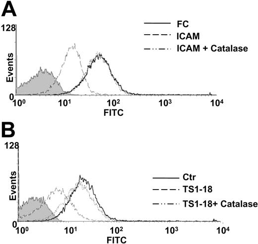 Figure 4. Catalase reversed the suppressive effects of LFA-1 ligation on VLA-4 activation. The effects of catalase on VLA-4-mediated adhesion were examined with cell surface analysis of activated VLA-4. U937 cells were treated with (A) 500 μg/mL ICAM-1-FC protein and (B) 200 ng/mL TS1-18 antibody in the presence or absence of catalase (0.3 U/μL) and then stained with (A) a ligand-induced binding site-specific VLA-4 antibody (HUTS-4) or (B) the soluble VCAM-1 protein. U937 cells were then analyzed with flow cytometry. The MFIs of the ligand-induced binding site-specific antibody staining for control FC, ICAM-1-FC, and ICAM-1-FC plus catalase-treated cells are 46.81, 12.52, and 46.67 respectively (A). The MFIs of the VCAM-1-FC protein binding for isotype control antibody-treated, TS1-18 plus catalase-treated, and TS1-18-treated cells are 20.33, 8.78, and 15.58, respectively (B). This experiment was repeated twice with similar results.