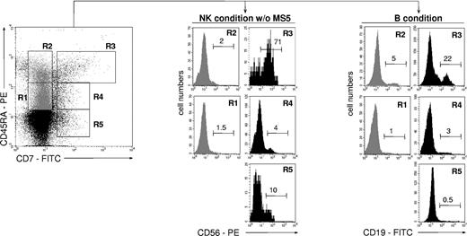 Figure 1. NK cell and BL differentiation potential of UCB CD34+ HPC populations. Purified UCB CD34+ cells were sorted into CD45RAintCD7- (R1), CD45RAhiCD7- (R2), CD45RAhiCD7+ (R3), CD45RAintCD7+ (R4), and CD45RA-CD7+ (R5) populations and cultured for 21 days with SCF, FL, IL-2, IL-7, and IL-15 (NK condition without MS5). Alternatively, cells were seeded onto MS5 cells with SCF, TPO, and IL-7 and cultured for 14 days (B condition). At the end of the cultures, cells were harvested and labeled with CD56-PE and CD19-FITC mAbs before FACS analysis: histograms and the indicated percentages of specifically labeled cells are based on control mAb labeling. In vitro-generated NK cells were homogeneously CD8+CD56+, whereas a minority of CD10+CD19+ BLs coexpressed CD20. At culture initiation none of the populations tested contained CD56+ cells; CD34+CD19+ pre-B cells represented 6% ± 2% (n = 3) of sorted CD45RAhiCD7- (R2) cells. Data are from 1 of 2 experiments.