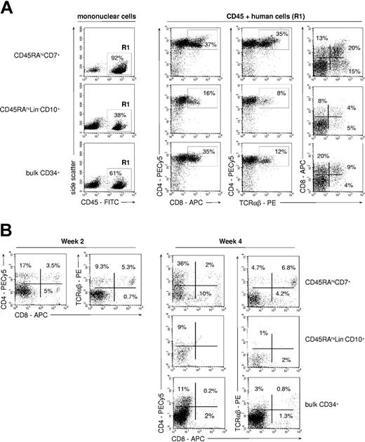 Figure 4. TL differentiation potential of CD45RAhiCD7+ and CD45RAhiLin-CD10+ HPCs. (A) FTOC assay: sorted CD45RAhiCD7+, CD45RAhiLin-CD10+, and bulk CD34+ cells were cultured for 4 weeks in NOD/SCID mouse fetal thymic lobes before cells were recovered and analyzed by FACS. Only CD45+ (R1) human cells were further analyzed. Percentages of positive cells are indicated; data are from 1 of 5 experiments. (B) Coculture with OP9-DL1 cells: CD34+ HPC populations were cultured for 2 or 4 weeks onto OP9-DL1 cells with SCF, FL, IL-2, IL-7, and IL-15, before FACS analysis. Percentages of positive cells are indicated; data are from 1 of 4 experiments.