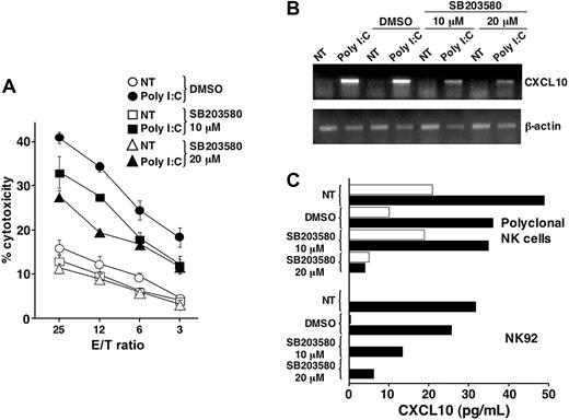 Figure 7. p38 MAPK activity controls poly I:C–triggered up-regulation of cytotoxic activity and CXCL10 production in human NK cells. (A) The NK92 cell line was stimulated with poly I:C (closed symbols) or left untreated (open symbols) in the presence (squares, triangles) or absence (circles) of SB203580 pharmacologic inhibitor for 24 hours; cytotoxic activity was then tested against K562 target in a 4-hour 51Cr release assay. These data are representative of 1 of 2 independent experiments. (B) The NK92 cell line was stimulated with poly I:C in the presence or absence of SB203580. RT-PCR with specific primers for CXCL10 and for β-actin (as control) was then performed on total RNA. These data are representative of 1 out of 4 independent experiments. (C) CXCL10 secretion in culture supernatants of untreated (empty bars) or poly I:C–stimulated highly purified polyclonal NK cells and NK92 cells (solid bars), in either the presence or absence of SB203580, was quantitated by specific ELISA. These data are representative of 1 out of at least 4 independent experiments.