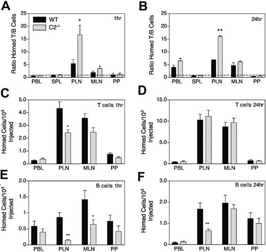 Figure 1. Lymphocyte homing in C2GlcNAcT-I-/- lymphoid organs. Naive donor lymphocytes from pooled MLNs and PLNs of T-GFP mice were TRITC labeled and injected into recipient mice. Lymphoid organs were harvested after 1 hour (A) and 24 hours (B), and the ratio of total homed T cells to B cells was measured by flow cytometry. The dashed line indicates a homing ratio of 1; that is, homing of both subsets was equivalent. Total numbers of homed T cells (C-D) and B cells (E-F) were measured after 1 hour (C, E) and 24 hours (D, F). Homed cell numbers were normalized to the number of injected cells. *P < .05 and **P < .01 versus WT. n = 5 to 7 mice per group. Error bars indicate SEM.
