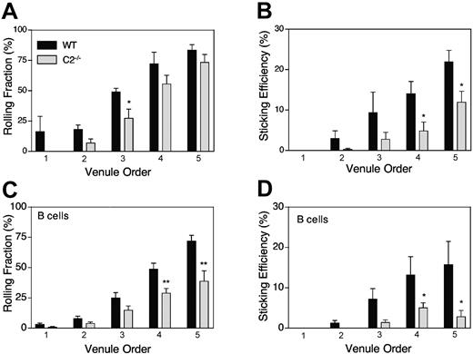 Figure 2. Intravital microscopy of WT and C2GlcNAcT-I-/- PLN HEVs. The rolling fraction of T cells (A) and B cells (C) was determined as the percentage of rolling cells in the total flux of cells in each HEV. Sticking efficiency of T cells (B) and B cells (D) was calculated as the percentage of adherent cells (30 seconds or longer) in the total lymphocyte flux through each HEV. *P < .05 and **P < .01 versus WT. For WT, n = 4 mice. For T cells, order I, n = 2 venules; order II, 5; order III, 6; order IV, 5; order V, 5. For B cells, order I, n = 5 venules; order II, 8; order III, 12; order IV, 9; order V, 9. C2GlcNAcT-I-/-, n = 4 mice. For T cells, order I, n = 3 venules; order II, 6; order III, 9; order IV, 10; order V, 9. For B cells, order I, 5 venules; order II, 5; order III, 10; order IV, 13; order V, 8 venules.