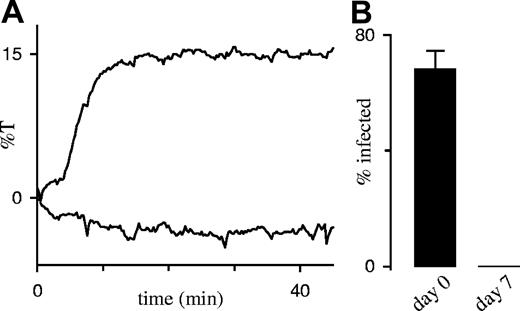 Figure 5. PSAC activity does not require sustained parasite viability. (A) Sorbitol-induced lysis time course with and without 200 μM furosemide (lower and upper curves, respectively) after cold storage for 7 days. The half-time in this lysis experiment, 6 minutes, is unchanged from that with viable parasites (Figure 3B and Wagner et al13). (B) Cold storage kills P falciparum trophozoites. Cultures were seeded immediately after percoll-sorbitol enrichment (day 0) or after storage at 4°C for 7 days; viability was assessed after 24 hours by counting the percentage of RBCs infected with ring-stage parasites (mean ± SEM, n = 3). The cold-stored culture was maintained for an additional week without the appearance of any parasites, verifying complete killing.