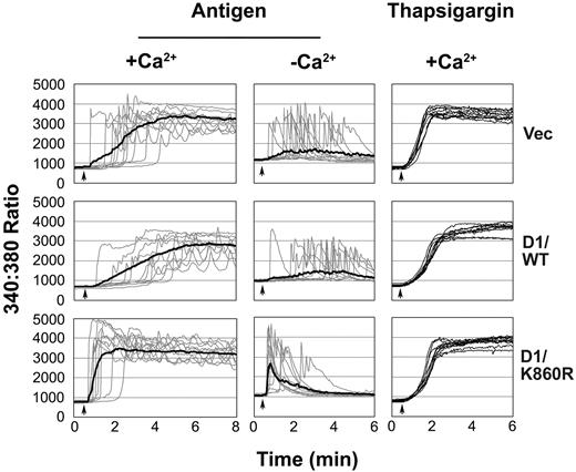 Figure 5. FcϵRI-but not thapsigargin-induced Ca2+ responses are faster in cell lines expressing catalytically inactive PLD1. Cells were stimulated at the time indicated by the arrow with antigen (100 ng/mL) or thapsigargin (100 nM). Experiments were in the presence (+Ca2+) or absence (-Ca2+) of extracellular Ca2+. The graphs shown are the Ca2+ response of 10 individual cells for each cell line (faint lines), representative of the 60 cells within each experiment, and the average of the 60 cells (thick line in antigen stimulation). The result shown is representative of 3 independent experiments, and similar results were obtained when the other cell line of each transfection was examined.