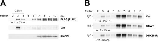 Figure 7. Some PLD1 constitutively localizes to the plasma membrane, especially in GEMs/lipid rafts, and changes FcϵRI distribution in the membrane. (A) Lysates from unstimulated D1/WT cells were fractionated by sucrose density gradient centrifugation, and fractions were analyzed by immunoblotting with anti-FLAG, LAT, and RMCPII Abs. The percentage of the total protein in the indicated fractions was calculated from the densitometric analysis and is the average ± standard deviation from 3 independent experiments. Similar results were obtained when the other cell line of each transfection was examined. (B) FcϵRI distribution in the membrane. Lysates from unstimulated cells presensitized with biotinylated IgE were fractionated by sucrose density gradient centrifugation. Biotinylated IgE was detected with horseradish peroxidase (HRP)-conjugated streptavidin. The percentage of the biotinylated IgE localized to the lipid rafts was calculated from the densitometric analysis and is the average ± standard deviation from 3 different experiments. Statistically significant change compared with the control cells or D1/WT cells is indicated as follows: *P < .05. Similar results were obtained when the other cell line of each transfection was examined.
