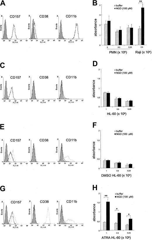 Figure 1. Analysis of the expression and cyclase activity of CD157. PMNs purified from (A) peripheral blood, (C) HL-60 cells, (E) DMSO-induced HL-60 cells, and (G) ATRA-induced HL-60 cells were incubated with anti-CD157, anti-CD38, or anti-CD11b mAbs and F(ab′)2-RaMIg-FITC and analyzed by flow cytometry. (E, G) Analysis of basal expression (black profiles) and of the expression induced following treatment with DMSO or ATRA for 4 days (gray profiles). Gray-filled profiles are the isotype control mAb. Number of cells tested was 7 000. Results are representative of 5 experiments. (B) Evaluation of the cyclase activity of PMNs. The cyclase activity of PMNs was measured by analyzing the ability of increasing concentrations of cells to produce cGDPR in the absence (▦) or presence (▪) of NGD+ using a fluorimetric assay. Raji B cells were used as a positive control. Evaluation of the cyclase activity of (D) HL-60, (F) DMSO-induced HL-60 cells, and (H) ATRA-induced HL-60 cells. Cells were incubated in the absence () or in the presence (▪) of NGD+. The formation of the fluorescent product cGDPR was measured by a fluorescence spectrometer, set at excitation 300 nm and emission 410 nm. Each experiment was performed in triplicate, and results are expressed as means of absorbance obtained from 3 different experiments ± the standard deviation (SD). *P < .05; **P < .001.