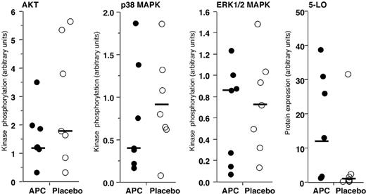 Figure 5. Lack of modification of key neutrophil intracellular signaling mechanisms by in vivo administration of rhAPC. Relative phosphorylation of kinases and expression of 5-LO in neutrophils isolated 16 hours after endobronchial LPS-instillation from volunteers who received rhAPC (•) or placebo (○). The ratio of phosphorylated kinase to the total quantity of kinase recovered is plotted. The quantity of 5-LO is relative to the total quantity of p38 MAPK. Solid bars represent the median value for each condition; n = 7 for rhAPC and n = 7 for placebo. Phosphorylation of AKT, p38 MAPK, or ERK (1/2) MAPK, and expression of 5-LO were not significantly modified by the presence or absence of rhAPC, as analyzed by the Wilcoxon unpaired exact test.