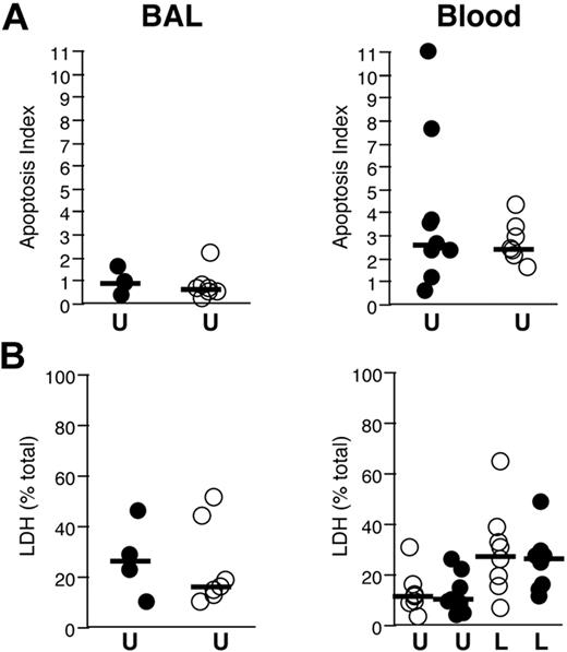Figure 6. Lack of modification of neutrophil survival by in vivo administration of rhAPC. Analysis of apoptosis and necrosis in neutrophils isolated 16 hours after endobronchial LPS-instillation from volunteers who received rhAPC (•) or placebo (○). Solid bars represents the median value for each condition. (A) Effect of rhAPC on spontaneous apoptosis. Histone-bound DNA isolated from unstimulated BAL (left) and blood (right) neutrophils in volunteers who received rhAPC, expressed as a ratio to histone-bound DNA isolated from LPS-stimulated blood neutrophils (apoptosis index), n = 4 for rhAPC and n = 7 for placebo. (B) Effect of rhAPC on neutrophil necrosis. The percent of unstimulated BAL neutrophils (left) and unstimulated and LPS-stimulated blood neutrophils (right) that underwent necrosis after 4 hours of culture was measured by release of LDH, expressed as a percent of the total LDH content of an equal number of neutrophils; n = 8 for rhAPC and n = 8 for placebo. Exposure to rhAPC did not significantly modify spontaneous apoptosis or necrosis in BAL or blood neutrophils, as analyzed by the Wilcoxon unpaired exact test. U indicates unstimulated; L, LPS-stimulated.