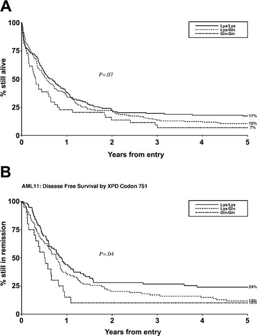 Figure 1. XPD codon 751 polymorphism status and outcome after chemotherapy for AML. (A) Overall survival (n = 341). (B) Disease-free survival (n = 189).