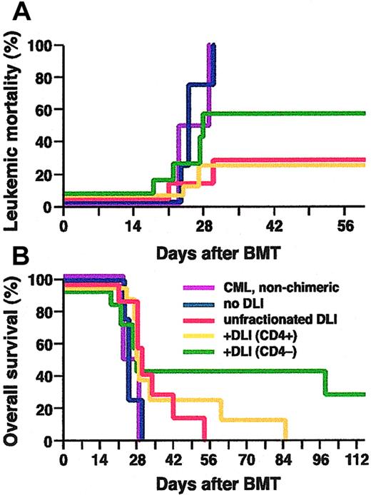 Figure 4. Both CD4+ and CD4- splenocytes can mediate GvL against CML-like leukemia. Cumulative mortality due to leukemia (A), and overall survival (B), of nonchimeric mice with BCR-ABL–induced CML-like leukemia (purple, n = 2), of leukemic mixed chimeras without DLI (blue, n = 4), or chimeras treated with DLI in form of unfractionated splenocytes (red, n = 7), CD4+ splenocytes (yellow, n = 8) or CD4- splenocytes (green, n = 7). The frequency of fatal CML in chimeras treated with CD4+ splenocytes was significantly lower than in untreated chimeras (P = .05, Fisher exact test). One mouse in the CD4- DLI cohort died at day 28 of a mixture of CML-like disease and GvHD, and another succumbed to histiocytic sarcoma at day 100 (see text).