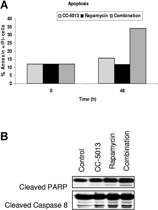 Figure 5. Combination CC-5013 and rapamycin induces apoptosis in MM1.S cells. (A) Increase in the apoptotic cells (Annexin+ PI-) after exposure to CC-5013 (1 μM) and rapamycin (1 nM) for 48 hours, (B) associated with caspase 8 and PARP cleavage.