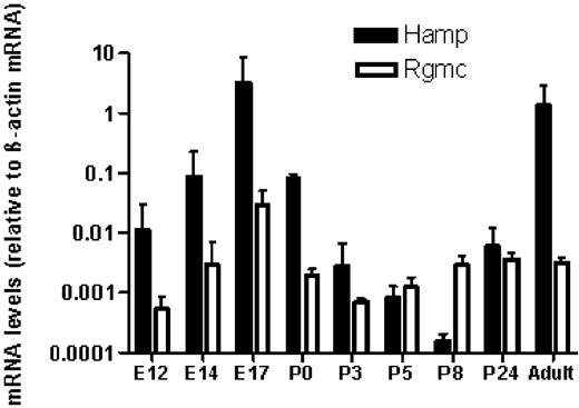 Figure 1. Levels of hepatic Hamp and Rgmc mRNA during prenatal and postnatal liver development. Liver samples were obtained at days 12.5, 14.5, and 17.5 of embryonic development (E12-E17), within 8 hours after birth (P0), during postnatal developmental days (P3-P24), or from adult mice aged 2 to 3 months. Values represent the amount of target mRNA compared to β-actin mRNA (means ± SD; n = 3).