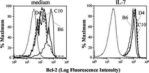 Figure 5. Bcl-2 response DN thymocyte subpopulation upon in vitro treatment with IL-7. Thymocytes from young adult mice as described for Figure 2 were treated with vehicle control (DMSO; left panel) or 3 ng/mL IL-7 (right panel) and stained for Bcl-2. Wild type (thin line), D4 Tg cells (dashed line), and C10 Tg cells (thick line) are shown with DP cells serving as a control (dotted line). Similar results were obtained from 4 independent experiments, and at doses of IL-7 from 3 to 10 ng/mL, equal effect was observed.
