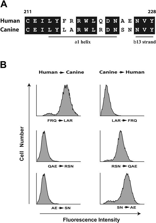 Figure 2. The AP1 epitope lies within the region spanning R218 to Y228. (A) Alignment of the human and canine sequences between Cys211 and Tyr228. Conserved amino acids are boxed and the locations of the α1 helix and β13 strands are noted. This designation is from the structure published by Uff et al,4 where they designated the β13 strand as extending from residue 226 to residue 228. In the 2 structures of the GP Ibα N-terminus in complex with the VWF A1 domain,3,35 the 13 β strand extends from residue 227 to residue 232, although it is not formally designated as β13. (B) Binding of the GP Ibα monoclonal antibody AP1 to CHO cells expressing chimeric GP Ibα was assessed by flow cytometry. Left panels show nonconserved residues of wild-type human GP Ibα within the sequence depicted in panel A mutated to corresponding canine residues; right panels, nonconserved canine residues mutated to the corresponding human residues using C1-225 as the template.