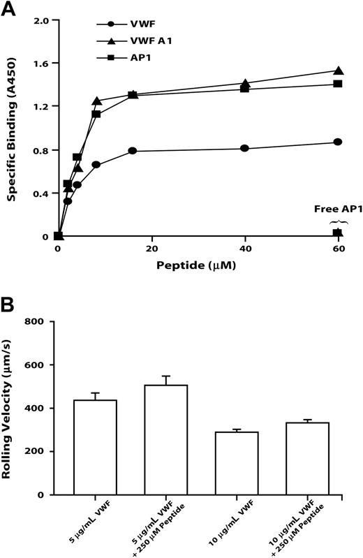 Figure 6. The GP Ibα AP1 peptide binds VWF, VWP A1, and AP1, but it does not inhibit GP Ib-mediated cell rolling on VWF. GP Ibα peptide encompassing Leu214 to Val229 binds immobilized VWF, VWF A1 domain, and AP1 (A) and affects the rolling of GP Ibα-expressing cells on immobilized VWF (B). (A) Increasing amounts of the GP Ibα Leu214 to Val229 peptide were incubated with immobilized VWF, VWF A1 domain, or AP1. Detection of peptide binding is described in “Materials and methods.” In the inhibition assay, free AP1 antibody and 60 μM peptide were added simultaneously. This figure is representative of 3 individual experiments. (B) Cells expressing wild-type GP Ibα were introduced into a parallel-platelet flow chamber in the presence of 250 μM peptide for 1 minute and allowed to settle on the surface of immobilized VWF (coated with 5 or 10 μg/mL VWF). The chamber was then perfused with TBS at flow rates that generated wall shear stresses of 20 dynes/cm2. The rolling velocities of cells in the absence of peptide were measured and compared with that in the presence of peptide. Error bars indicate SEM.