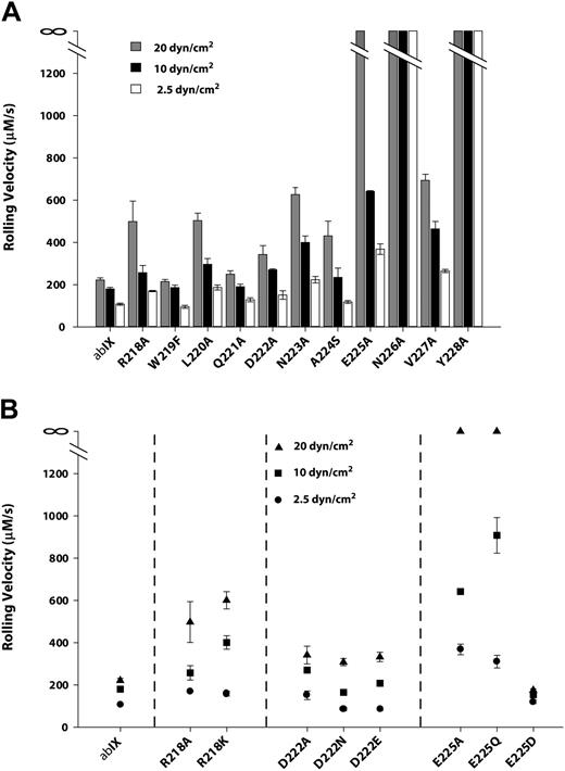Figure 7. The interaction of cells expressing GP Ibα mutants with immobilized VWF under flow. Cells expressing either wild-type (A) or charge mutants of (B) GP Ibα were introduced into a parallel-platelet flow chamber and allowed to settle on the surface of immobilized VWF for 1 minute before the chamber was perfused with TBS at flow rates that generated wall shear stresses of 2.5, 10, or 20 dynes/cm2. The rolling velocities of the mutant-expressing cells were measured and compared with the rolling velocity of cells expressing wild-type GP Ibα.