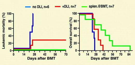 Leukemia mortality (left) and overall survival (right) in mice that received transplants of BCR-ABL-transduced syngeneic bone marrow and T-cell-depleted allogeneic bone marrow. Allogeneic donor splenocytes were injected at the time of the transplantation or as DLIs starting on day 14.