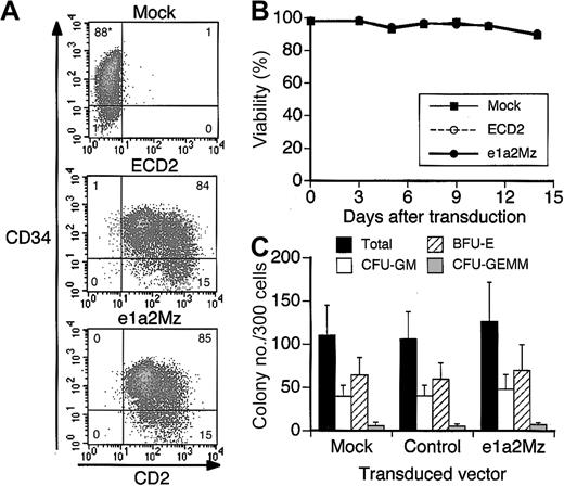 Figure 7. Effect of e1a2Mz transduction on normal human CD34+ CBCs. (A) Transgenic expression of hCD2 in CD34+ CBCs was determined by FCM 3 days after gene transduction. Cells were also stained with anti-CD34 antibody. Representative data from 3 samples are shown. *The numbers in the plots indicate the percentage of cells in that quandrant. (B) Death of CD34+ CBCs transduced with the indicated vectors, or untransduced, was determined by the trypan blue exclusion test up to 14 days after transduction. The results represent means of data from 3 CD34+ CBC samples. (C) Colony formation analysis of CD34+ CBCs transduced with the indicated vectors or untransduced. Number and types of colonies formed in semisolid media were assessed 14 days after transduction. The results represent means ± SDs of data from 3 CD34+ CBC samples. CFU-GM indicates granulocyte-macrophage colony-forming unit; BFU-E, erythroid burst-forming unit; and CFUGEMM, granulocyte-erythrocyte-megakaryocyte-macrophage colony-forming unit.