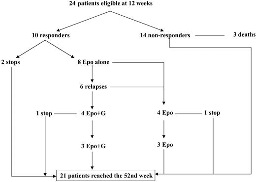 Figure 2. Outcomes for patients in arm A after week 12.