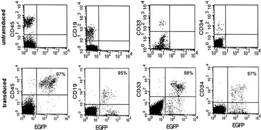 Figure 1. Efficient HPC transduction with use of high levels of vector. Transduction efficiencies in a NOD-SCID mouse 8 weeks after infusion with CD34+ progenitors transduced at approximately 500 TU/cell with high-speed centrifuged vector for 4 consecutive days. Cells isolated from the bone marrow were analyzed by flow cytometry. Percentages of eGFP-expressing human cells are shown in the upper right corner.