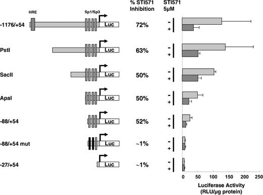 Figure 5. VEGF promoter activity in K562 cells treated with imatinib mesylate (STI571). The different VEGF promoter constructs used in transient transfection assays are shown. The relative light units (RLU/μg protein) was measured 24 hours after transfection of 20 μg of the different reporter genes in the absence (-) or in the presence (+) of 5 μM imatinib is shown. The results are representative of 4 independent experiments performed in duplicate ± SE. The percentage of inhibition in the presence of imatinib is indicated.