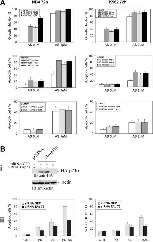 Figure 4. Abrogation of TAp73 expression inhibits PD plus ATO-induced apoptosis in leukemia cells. (A) NB4 and K562 cells seeded at 1 × 105 cells/mL were pretreated for 3 hours with MEK1 inhibitors PD98059 (40 μM or 10 μM) or PD184352 (1 μM) or with the PI3K inhibitor wortmannin (0.2 μM and 1 μM) and then incubated for 72 hours with the indicated concentrations of ATO. Viable cells were counted by the trypan blue dye exclusion method and apoptosis was measured as the percentage of cells with hypodiploid DNA content. Each value represents the mean ± SD of 4 independent experiments. (Bi) NB4 cells were transfected with an expression vector encoding for an HA-tagged version of TAp73 alone or in the presence of siRNAp73 or siRNAGFP. Cells were lysed 24 hours after transfection and TAp73 expression was assessed by anti-HA immunoblot. (Bii) NB4 (left) and K562 (right) cells were transfected with the indicated siRNAs and subsequently treated with PD184352 (1 μM), ATO (1 μM for NB4 and 2 μM for K562), or PD plus ATO for 72 hours prior to apoptosis analysis. Values are the mean ± SD of 3 independent experiments. AS = ATO.