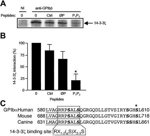 Figure 3. A phosphoserine GPIbα 580-590 peptide inhibits GPIb-IX-14-3-3ζ association. (A) Triton X-100 lysates of resting human platelets were immunoprecipitated with the mAb RAM.1 in the presence or absence of the nonphosphorylated ØP (LVAGRRPSALS) or diphosphorylated P1P2 (LVAGRRPpSALpS) GPIbα 580-590 synthetic peptide. Ctrl represents incubation with an unrelated peptide (TNRQPRDKNVKK) from the P2Y12 receptor sequence. RAM.1 coprecipitation of 14-3-3ζ was reduced in the presence of P1P2 and to a lesser extent in the presence of ØP, compared with incubation with no peptide or the Ctrl peptide. NI indicates nonimmune serum. (B) The coprecipitated 14-3-3ζ band was quantified with Quantity One Software (Bio-Rad, Hercules, CA) in 3 separate experiments, and results were expressed as the mean percentage (± SEM) of the band obtained in the absence of peptide (*P < .05). (C)Alignment of the amino acid sequences of the GPIbα 580-610 region in the human, mouse, and dog species. Ser residues are in boldface. The 580-590 domain (underlined) contains fully conserved serine residues with a spacing that corresponds to a consensus 14-3-3ζ binding motif.22 X indicates any amino acid; S, serine; pS, phosphorylated serine; R, arginine; and *, the pS609 residue. (GPIbα human, GPIbα mouse, and GPIbα canis have the GenBank accession numbers PO7359, AAC53320, and AAC14361, respectively.)